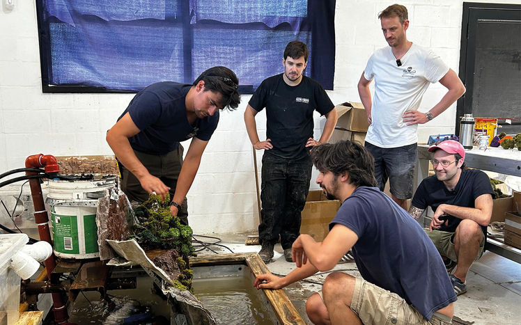 Regenwald bau pilar wasserfall