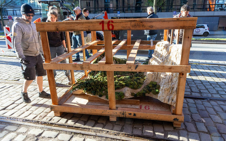 Regenwald anlieferung 01