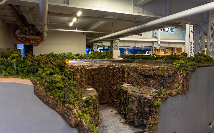 Regenwald anlieferung 04