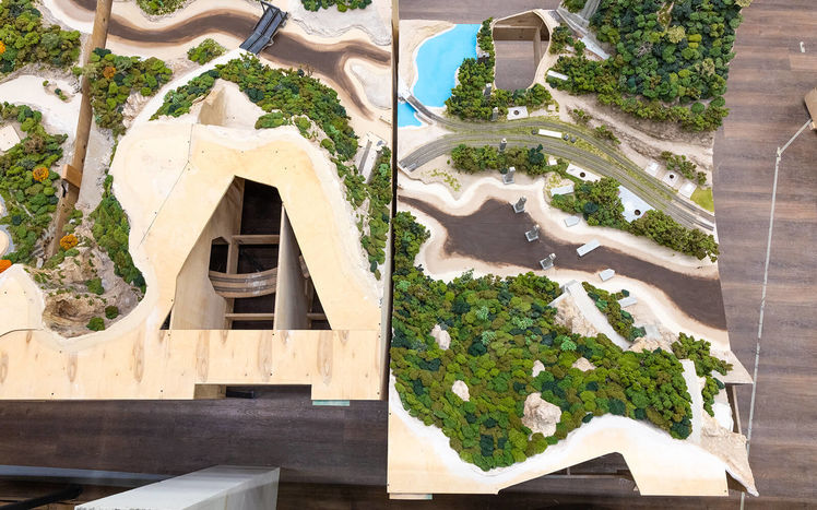 Regenwald anlieferung 05