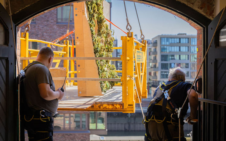 Regenwald anlieferung 07