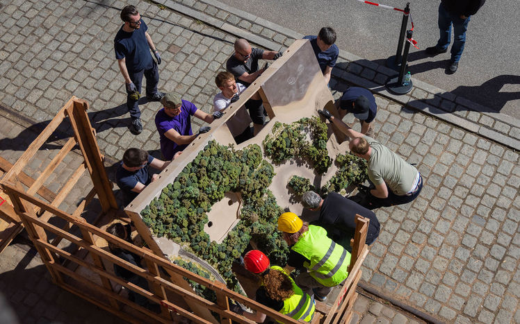 Regenwald anlieferung 08