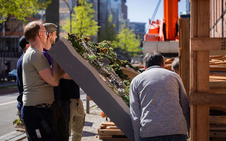 Regenwald anlieferung 13