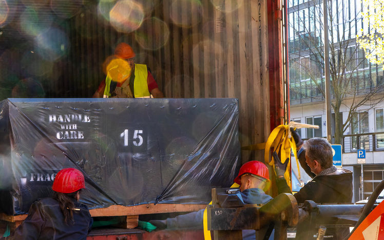 Regenwald anlieferung 14