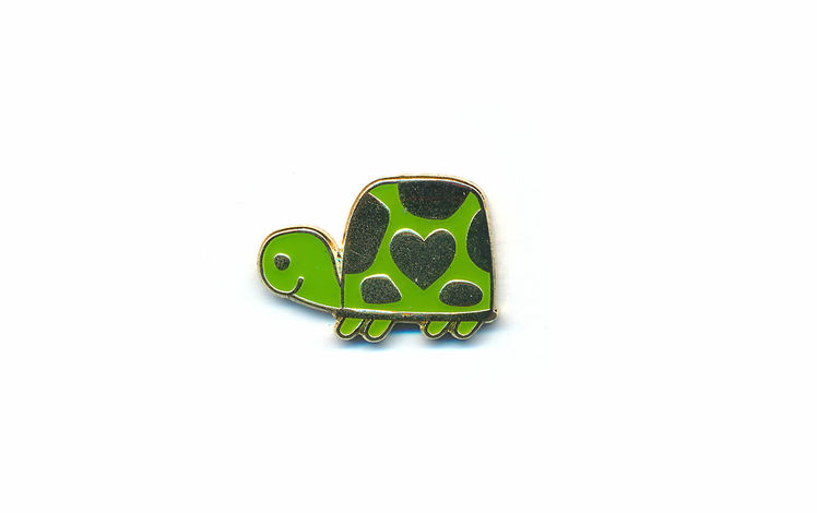 Onlineshop spendenpins magnete 2023 schildkreote