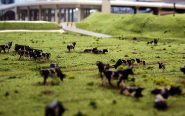 Wb 10  Kw39 2002  Nr 100