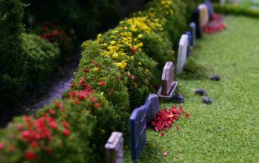 Wb 6  Kw30 2002  Nr 91