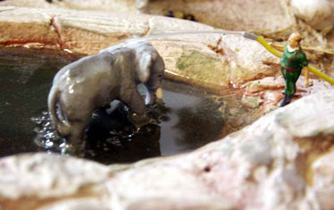 Wb 6  Kw39 2002  Nr 100