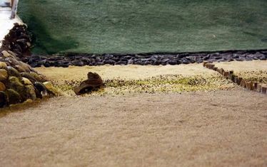 Wb 9  Kw38 2002  Nr 99