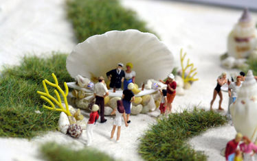 Wb 06 Kw 05 2005 Nr 223