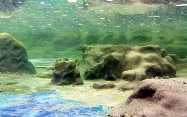 Wb 04 Kw 09 2005 Nr 227