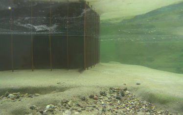 Wb 05 Kw 09 2005 Nr 227