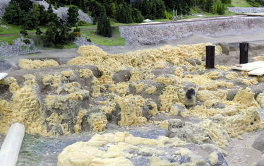 Wb 02 Kw 14 2005 Nr 232