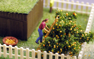 Wb 04 Kw 17 2005 Nr 235