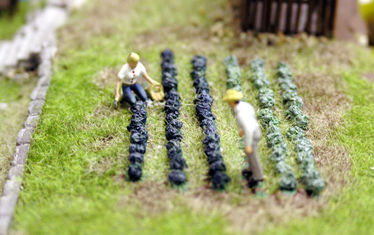 Wb 05 Kw 17 2005 Nr 235