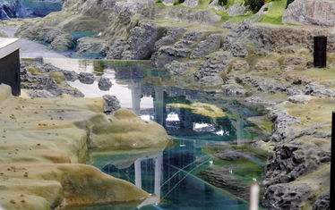 Wb 02 Kw 19 2005 Nr 237