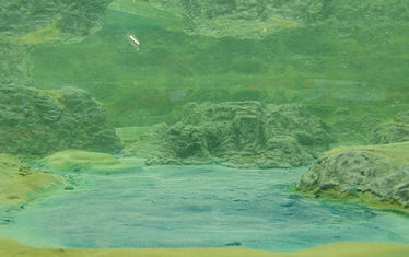 Wb 06 Kw 19 2005 Nr 237