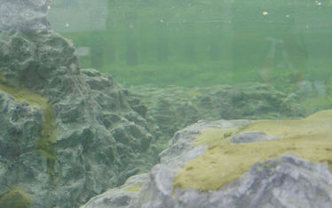 Wb 07 Kw 19 2005 Nr 237