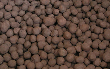 Wb 05 Kw 20 2005 Nr 238