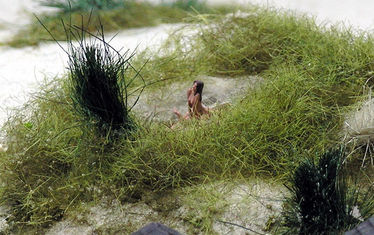 Wb 16 Kw 20 2005 Nr 238