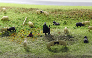 Wb 04 Kw 21 2005 Nr 239