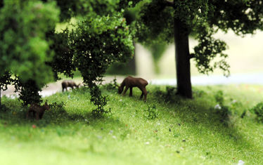 Wb 05 Kw 21 2005 Nr 239