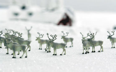 Wb 08 Kw 21 2005 Nr 239