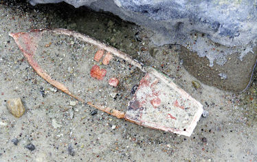 Wb 01 Kw 24 2005 Nr 242