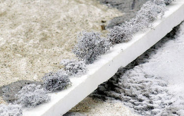 Wb 07 Kw 24 2005 Nr 242