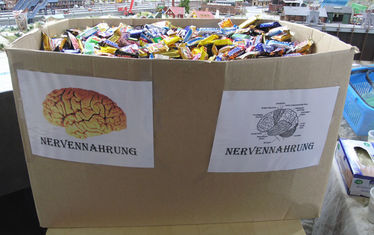 Wb 01 Kw 26 2005 Nr 244