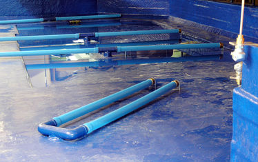 Wb 04 Kw 26 2005 Nr 244