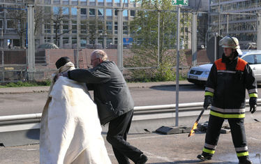 Wb 19 Kw 30 2005 Nr 248