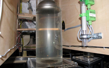 Wb 04 Kw 32 2005 Nr 250