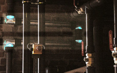 Wb 08 Kw 32 2005 Nr 250