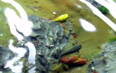 Wb 12 Kw 33 2005 Nr 251