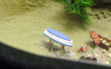 Wb 07 Kw 35 2005 Nr 253