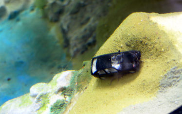 Wb 06 Kw 36 2005 Nr 254