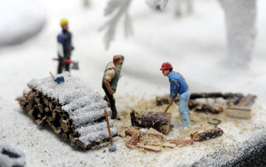 Wb 03 Kw 37 2005 Nr 255