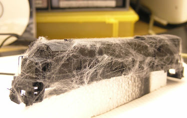 Wb 04 Kw 39 2005 Nr 257