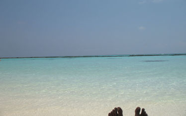 Wb 01 Kw 23 2006 Nr 293