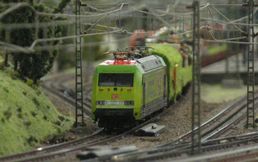 Wb 09 Kw 24 2006 Nr 294