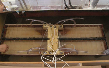 Wb 09 Kw 28 2006 Nr 298