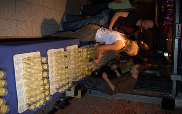 Wb 14 Kw 33 2006 Nr 303