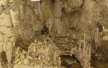 Wb 12 Kw 38 2006 Nr 308