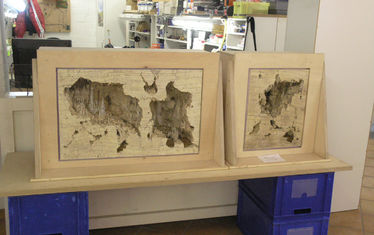 Wb 13 Kw 38 2006 Nr 308