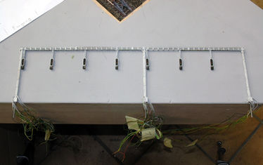 WB-11-KW-41-2007-Nr.-363