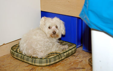 WB-10-KW-44-2007-Nr.-366