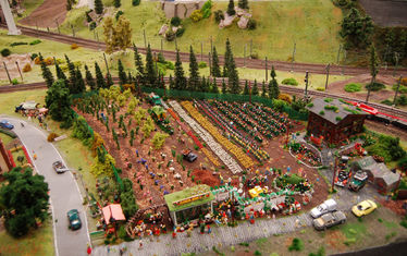 Wb 02 Kw 09 2008 Nr 383