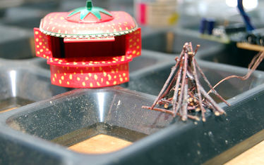 Wb 05 Kw 15 2008 Nr 389