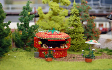 Wb 05 Kw 18 2008 Nr 392